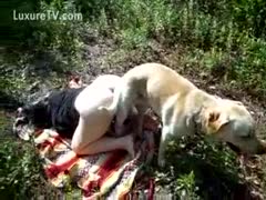 Excited pet owner drops her pants outdoors and experiences her 1st brute sex adventure